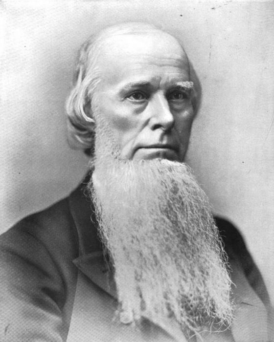 Portrait of Joseph Emerson Brown