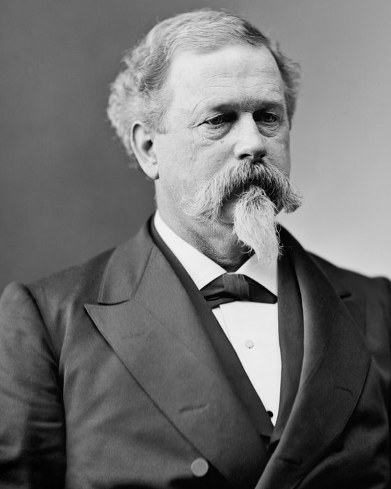 Portrait of Joseph Roswell Hawley