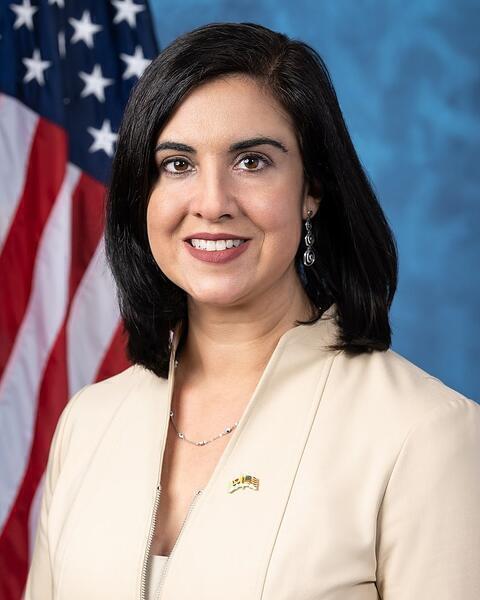 Portrait of Nicole Malliotakis