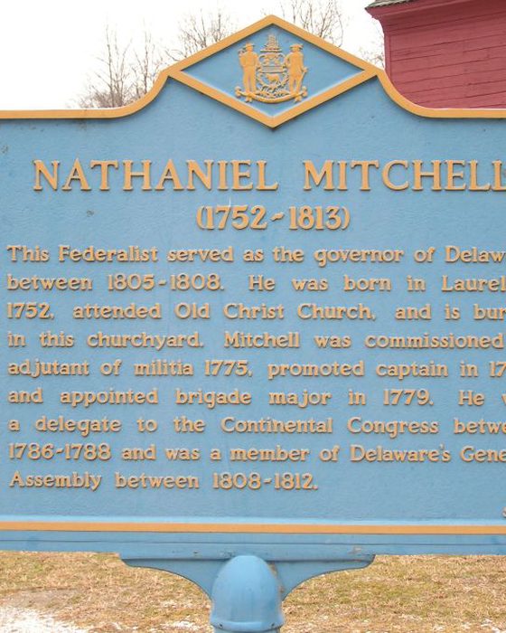 Portrait of Nathaniel Mitchell