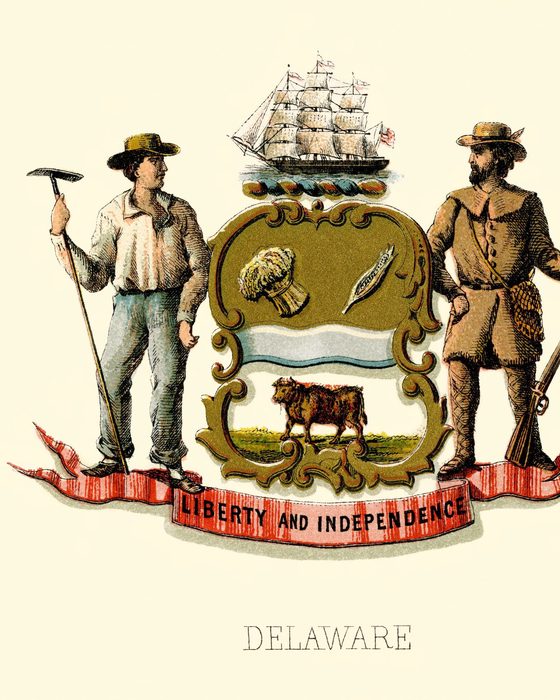 Portrait of Nicholas Van Dyke