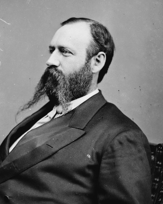 Portrait of Rufus Brown Bullock