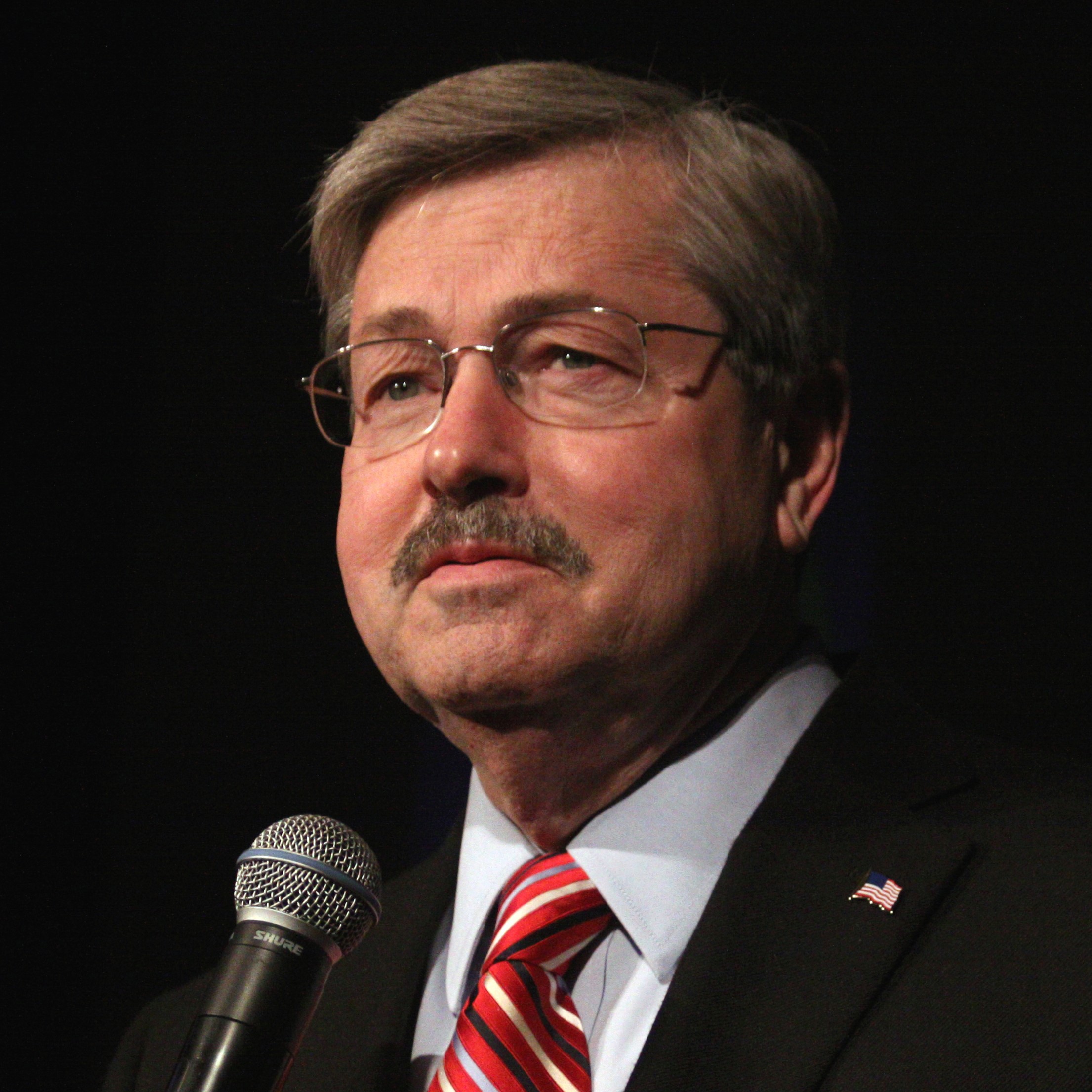 Terry E. Branstad portrait