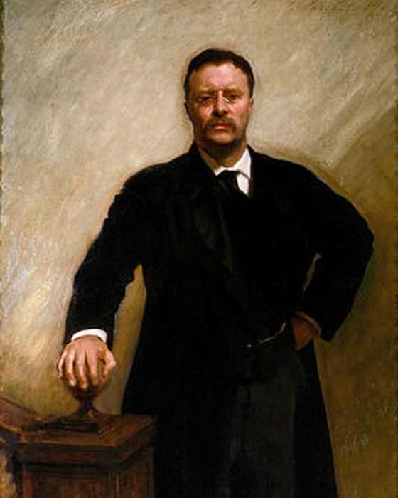 Portrait of Theodore Roosevelt