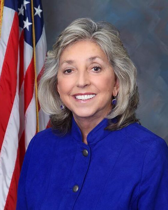 Portrait of Dina Titus