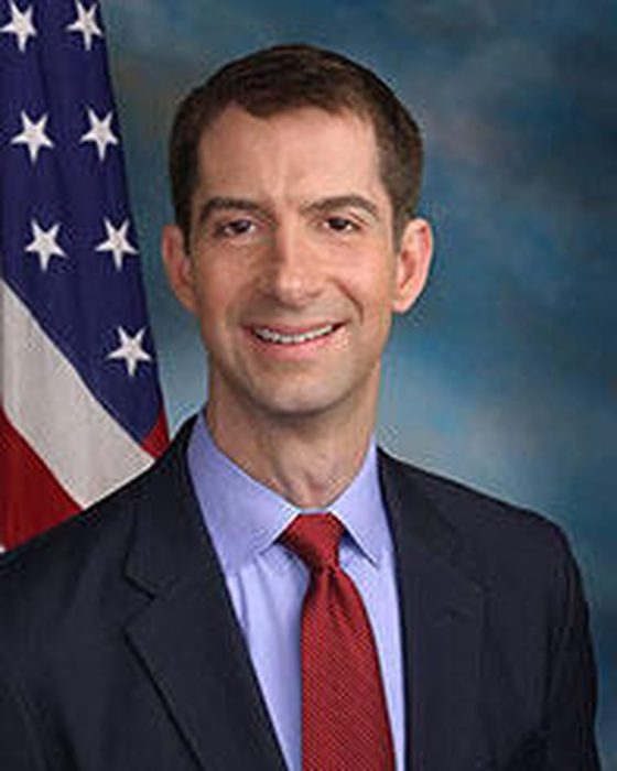Portrait of Tom Cotton
