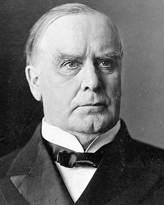 Portrait of William McKinley