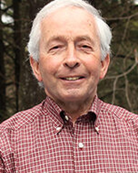 Portrait of Stephen Moriarty