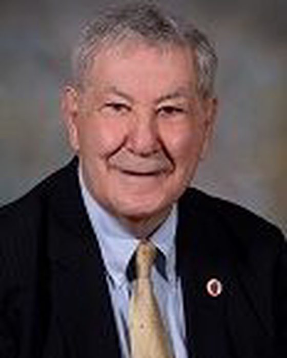 Portrait of Lou D'Allesandro