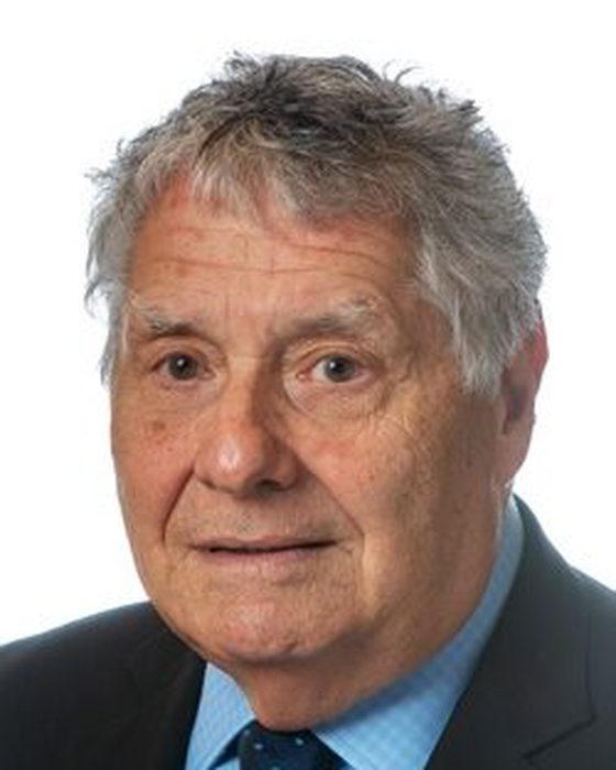 Portrait of Robert Singer