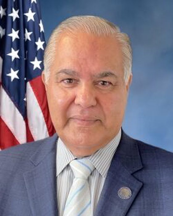 Portrait of Nader Sayegh