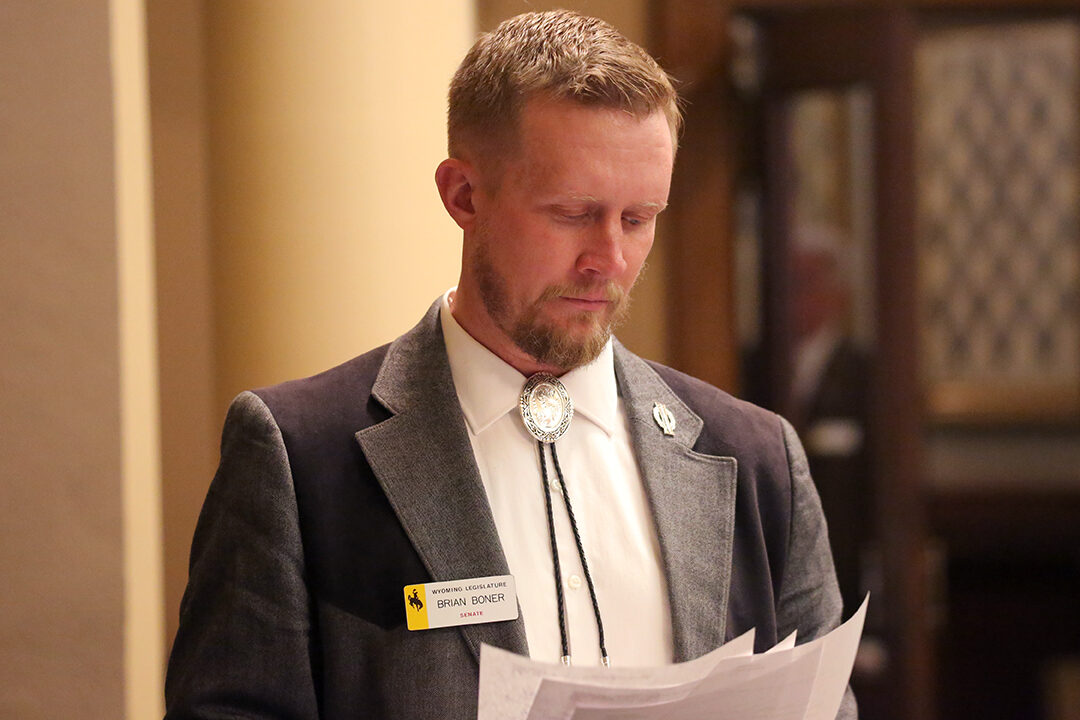 Brian Boner portrait